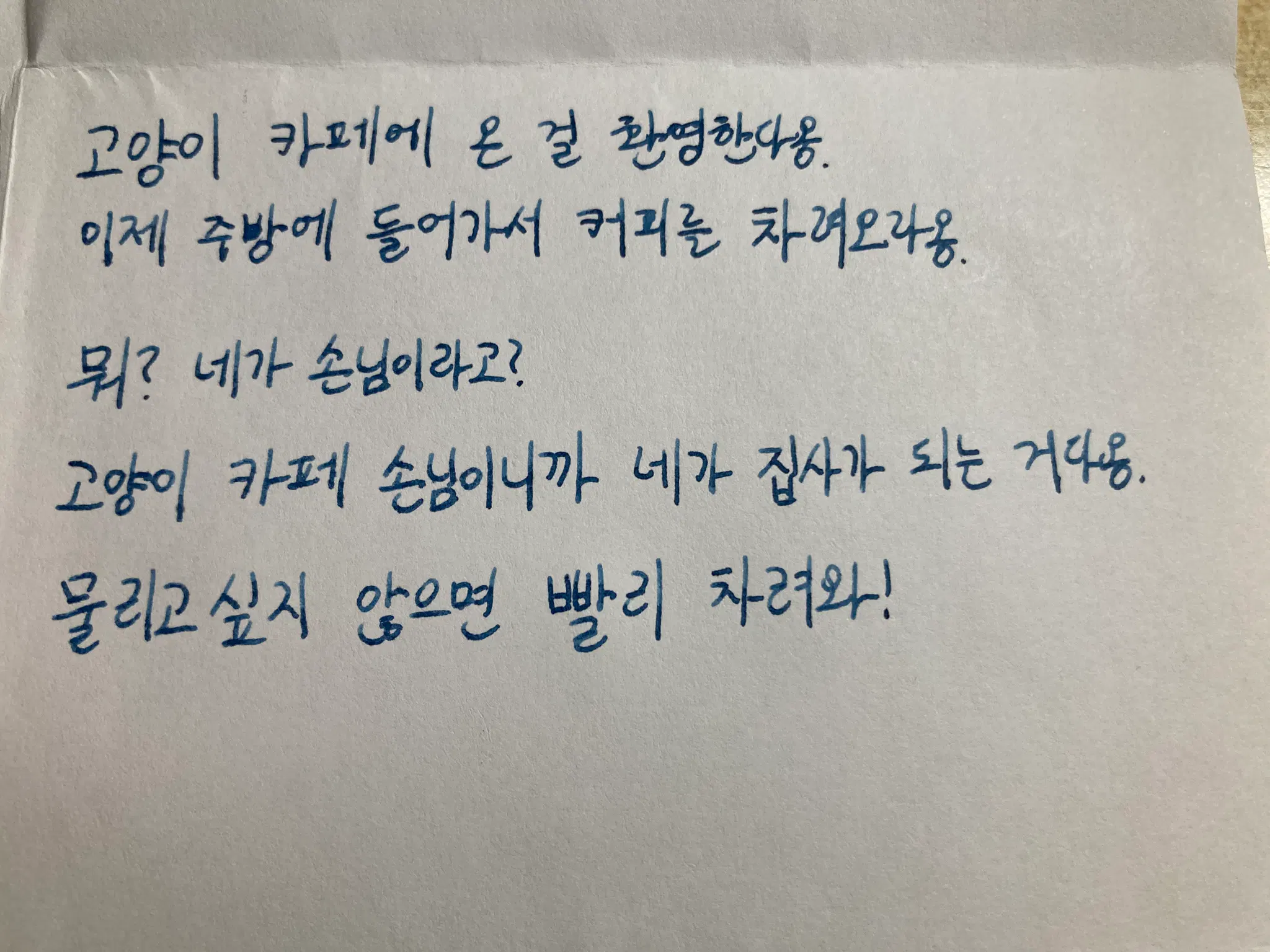 고양이 카페에 온걸 환영한다옹.
이제 주방에 들어가서 커피를 차려오라옹.
뭐? 네가 손님이라고?
고양이 카페 손님이니까 네가 집사가 되는거다옹.
물리고 싶지 않으면 빨리 차려와!